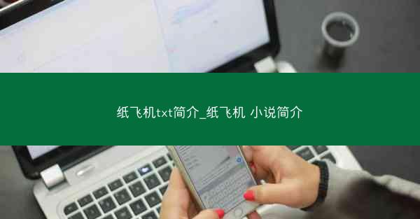 纸飞机txt简介_纸飞机 小说简介