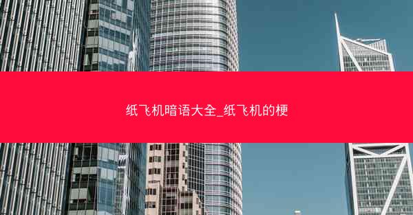 纸飞机暗语大全_纸飞机的梗