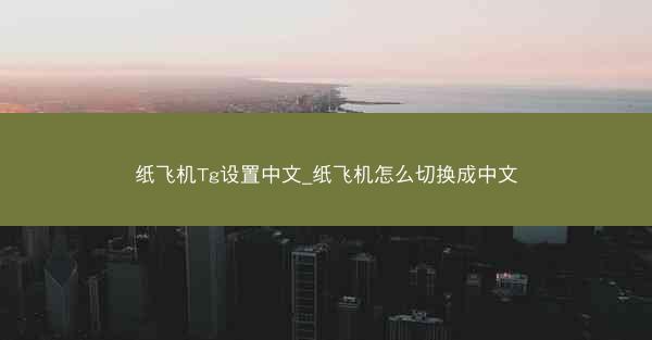纸飞机Tg设置中文_纸飞机怎么切换成中文