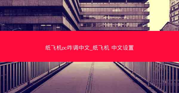 纸飞机pc咋调中文_纸飞机 中文设置