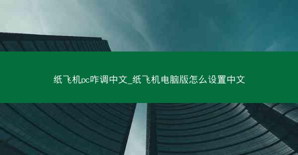 纸飞机pc咋调中文_纸飞机电脑版怎么设置中文