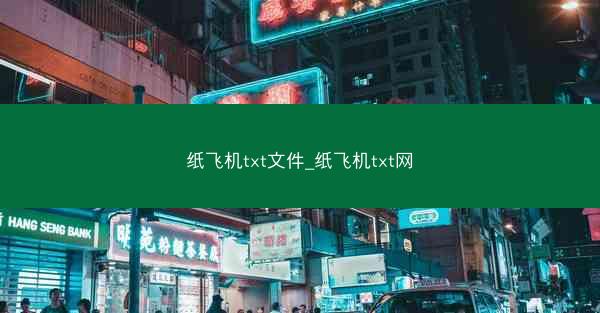 纸飞机txt文件_纸飞机txt网