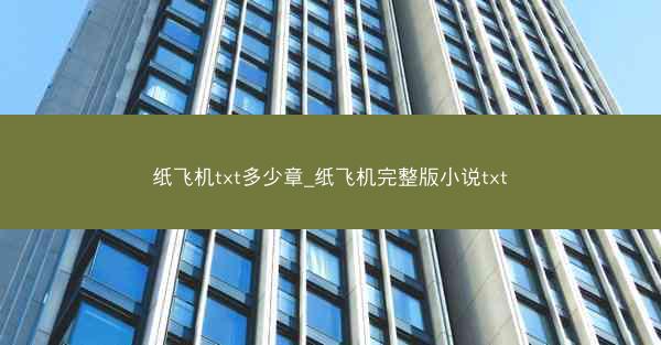 纸飞机txt多少章_纸飞机完整版小说txt