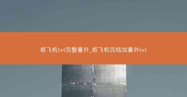 纸飞机txt完整番外_纸飞机完结加番外txt