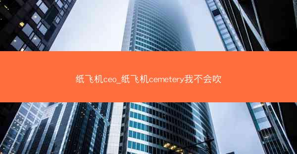 纸飞机ceo_纸飞机cemetery我不会吹