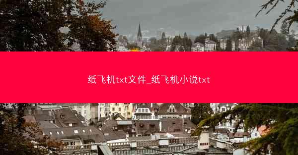 纸飞机txt文件_纸飞机小说txt