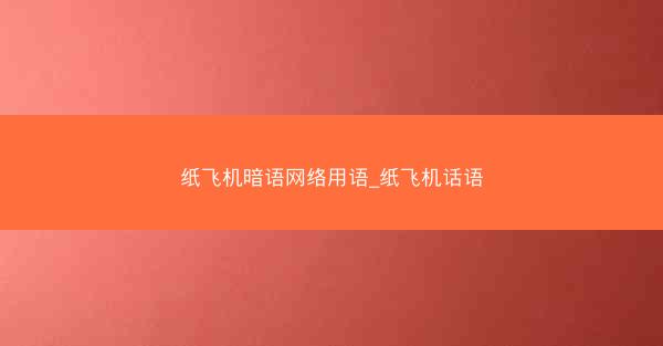 纸飞机暗语网络用语_纸飞机话语