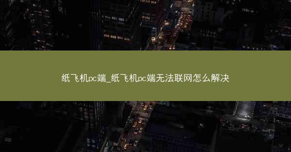 纸飞机pc端_纸飞机pc端无法联网怎么解决