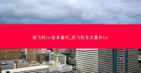 纸飞机txt全本番外_纸飞机全文番外txt