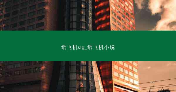 纸飞机slg_纸飞机小说