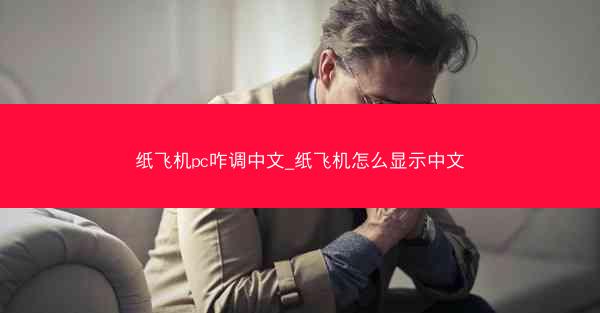 纸飞机pc咋调中文_纸飞机怎么显示中文