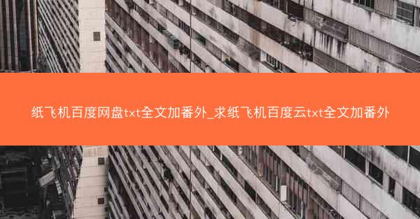 纸飞机百度网盘txt全文加番外_求纸飞机百度云txt全文加番外