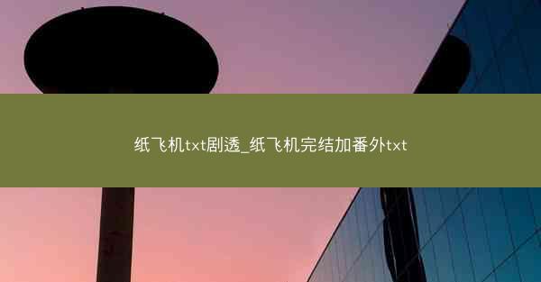 纸飞机txt剧透_纸飞机完结加番外txt