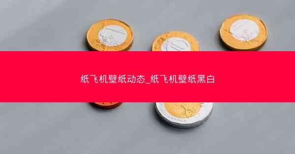 纸飞机壁纸动态_纸飞机壁纸黑白