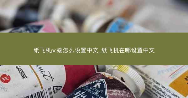 纸飞机pc端怎么设置中文_纸飞机在哪设置中文