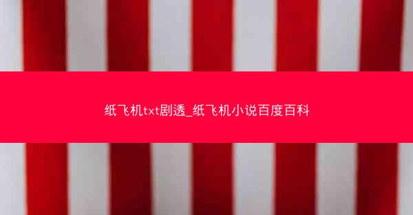 纸飞机txt剧透_纸飞机小说百度百科