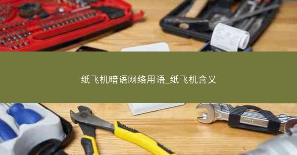 纸飞机暗语网络用语_纸飞机含义