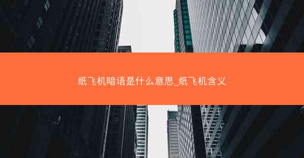 纸飞机暗语是什么意思_纸飞机含义