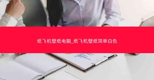 纸飞机壁纸电脑_纸飞机壁纸简单白色