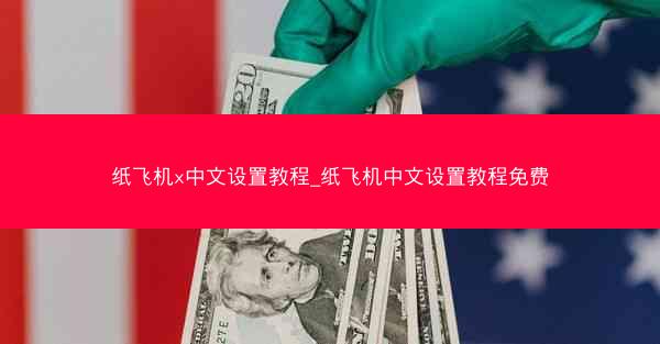 纸飞机x中文设置教程_纸飞机中文设置教程免费