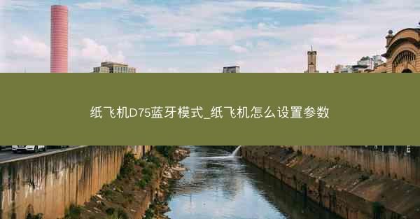 纸飞机D75蓝牙模式_纸飞机怎么设置参数