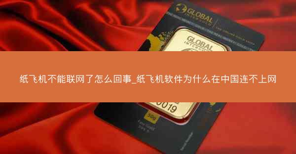纸飞机不能联网了怎么回事_纸飞机软件为什么在中国连不上网