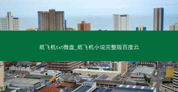 纸飞机txt微盘_纸飞机小说完整版百度云