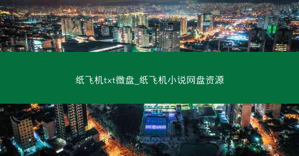 纸飞机txt微盘_纸飞机小说网盘资源