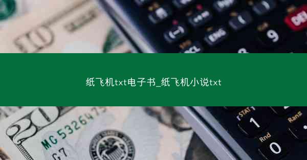纸飞机txt电子书_纸飞机小说txt