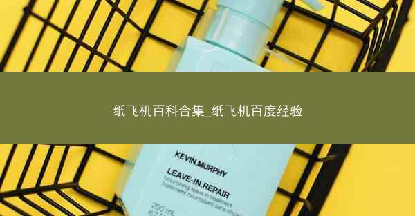 纸飞机百科合集_纸飞机百度经验