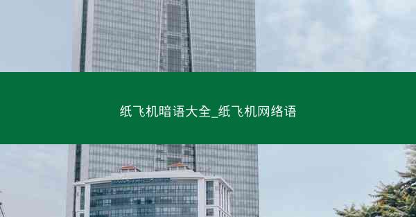 纸飞机暗语大全_纸飞机网络语
