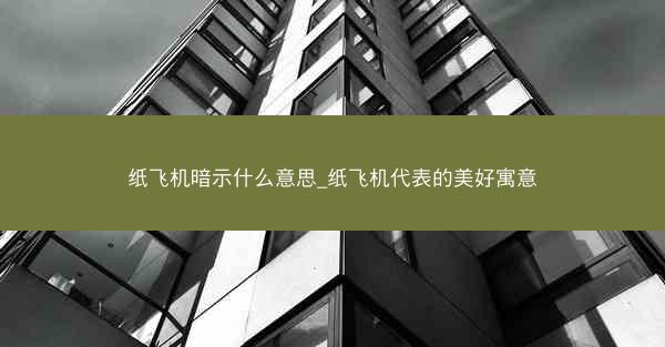 纸飞机暗示什么意思_纸飞机代表的美好寓意