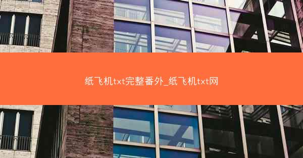 纸飞机txt完整番外_纸飞机txt网