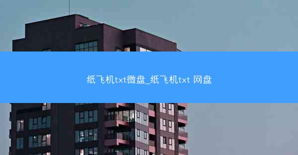 纸飞机txt微盘_纸飞机txt 网盘