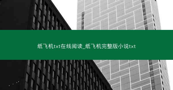 纸飞机txt在线阅读_纸飞机完整版小说txt