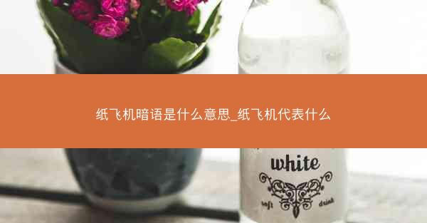 纸飞机暗语是什么意思_纸飞机代表什么