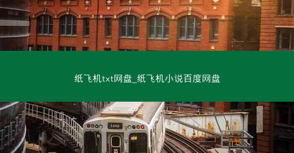 纸飞机txt网盘_纸飞机小说百度网盘