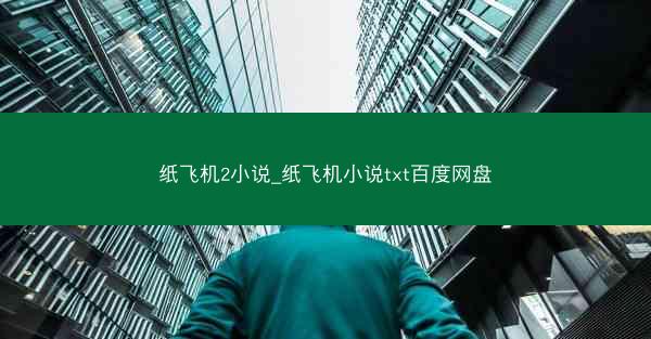 纸飞机2小说_纸飞机小说txt百度网盘