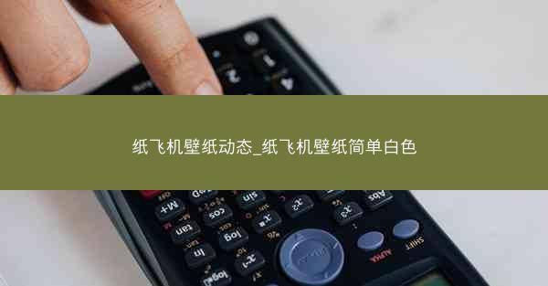 纸飞机壁纸动态_纸飞机壁纸简单白色