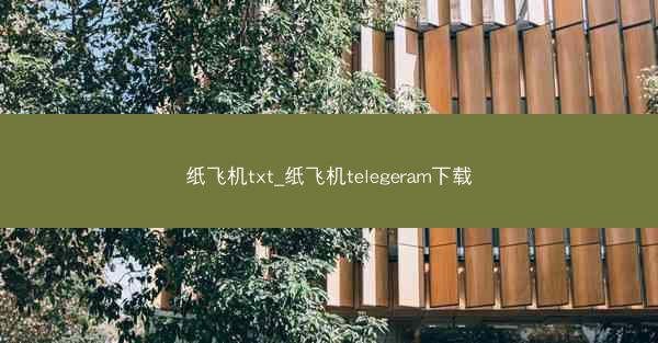 纸飞机txt_纸飞机telegeram下载