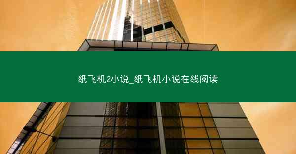 纸飞机2小说_纸飞机小说在线阅读