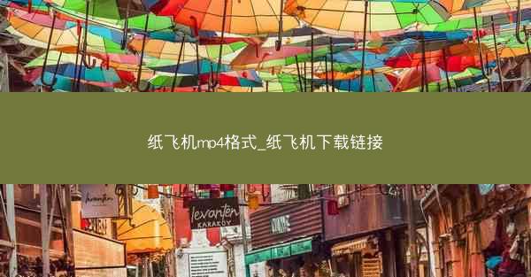 纸飞机mp4格式_纸飞机下载链接