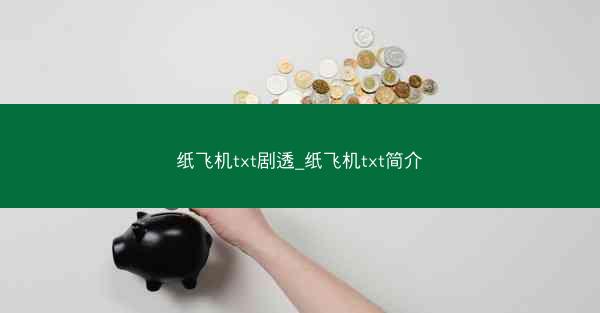 纸飞机txt剧透_纸飞机txt简介