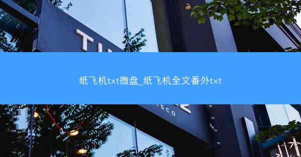 纸飞机txt微盘_纸飞机全文番外txt