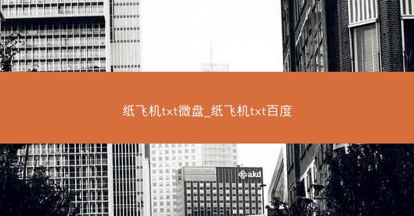 纸飞机txt微盘_纸飞机txt百度