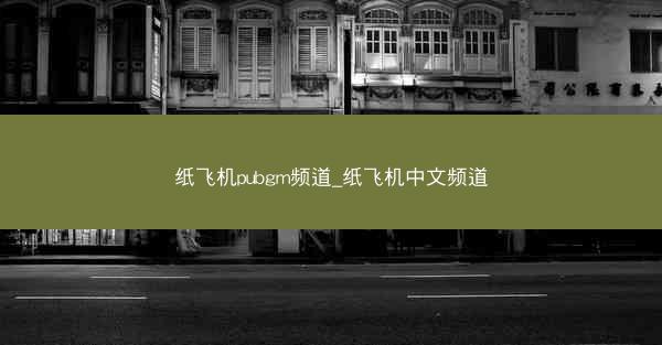 纸飞机pubgm频道_纸飞机中文频道