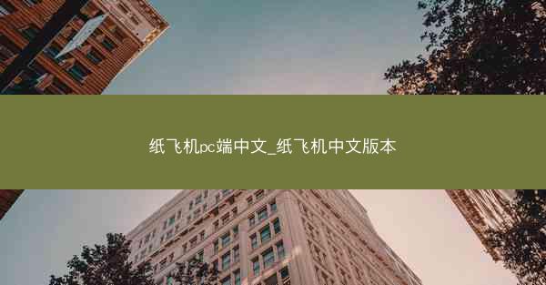 纸飞机pc端中文_纸飞机中文版本