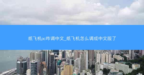 纸飞机pc咋调中文_纸飞机怎么调成中文版了