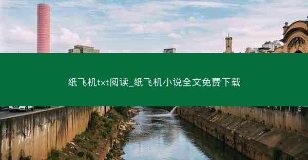 纸飞机txt阅读_纸飞机小说全文免费下载