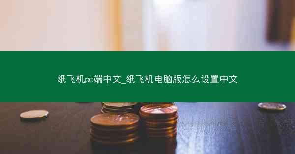 纸飞机pc端中文_纸飞机电脑版怎么设置中文